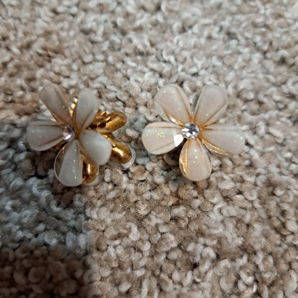Set Of Two Hair Clip Accessory - Picture 2 of 5